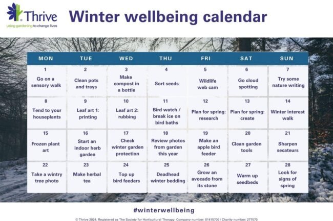This winter wellbeing calendar will help you thrive with gardening and nature activities
