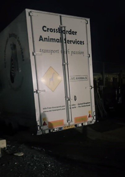 A large (narrow and tall) lorry with writing on the back saying Crossborder Animal Services. It is late at night so the background is very dark.
