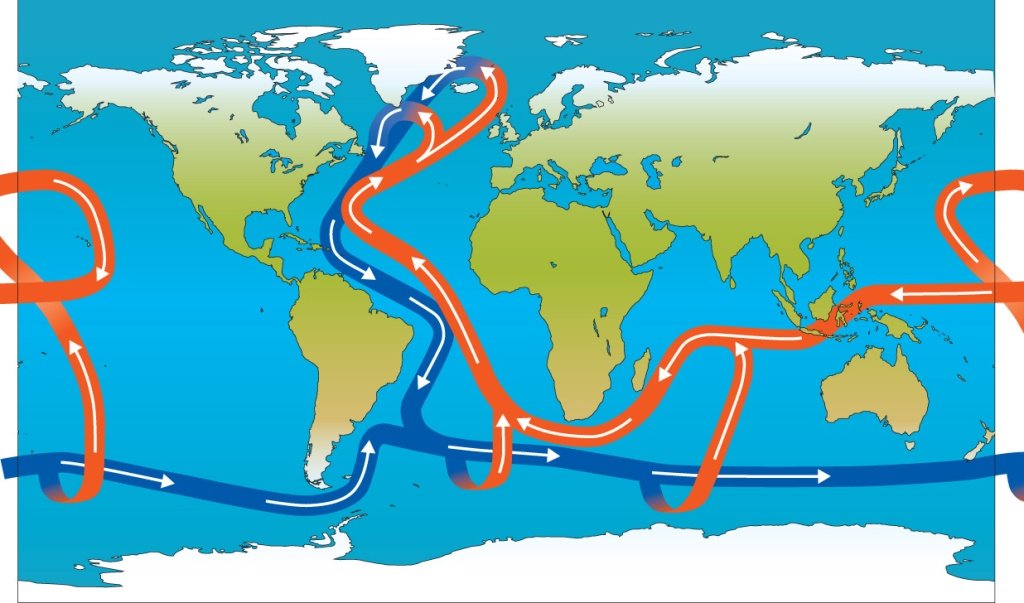 Image showing a map of the world and ocean circulations indicated by red and blue lines and arrows.